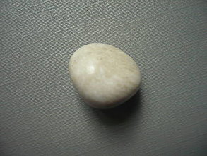 Minerály - Troml. - zkamenělý korál 18 mm, č.31f - 15863815_