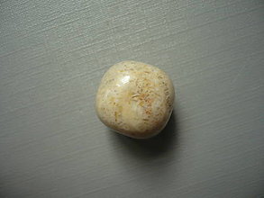 Minerály - Troml. - zkamenělý korál 16 mm, č.32f - 15863822_