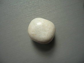 Minerály - Troml. - zkamenělý korál 18 mm, č.34f - 15863831_