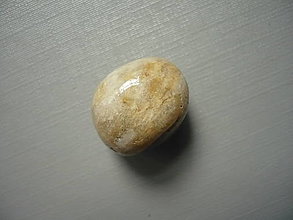 Minerály - Troml. - zkamenělý korál 19 mm, č.37f - 15863847_