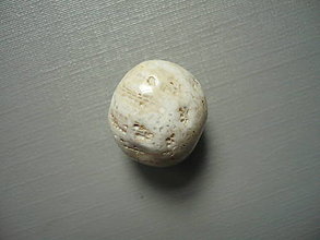 Minerály - Troml. - zkamenělý korál 18 mm, č.38f - 15863852_