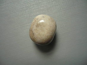 Minerály - Troml. - zkamenělý korál 18 mm, č.41f - 15863868_