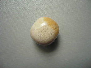 Minerály - Troml. - zkamenělý korál 17 mm, č.47f - 15863897_
