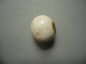 Minerály - Troml. - zkamenělý korál 18 mm, č.50f - 15863916_