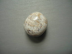 Minerály - Troml. - zkamenělý korál 18 mm, č.51f - 15863924_