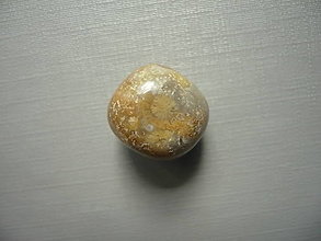 Minerály - Troml. - zkamenělý korál 16 mm, č.55f - 15863957_