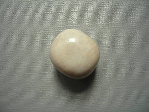 Minerály - Troml. - zkamenělý korál 17 mm, č.58f - 15863980_
