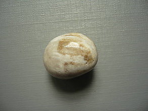 Minerály - Troml. - zkamenělý korál 19 mm, č.60f - 15863986_