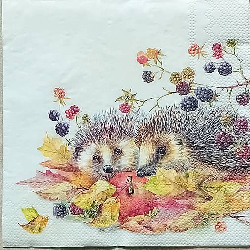 Papier - Servítka  P 239 - 15872177_