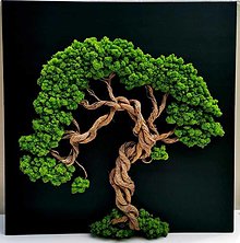 Obrazy - Machový strom, machová bonsaj - 15870210_