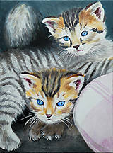 Obrazy - Mačiatka s modrými očami - 15873651_