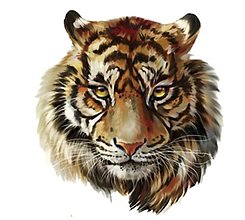 Galantéria - NZ102 Nažehľovačka tiger - 15875295_