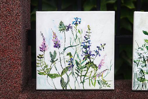 Obrazy - Botanical I.  - 15875481_