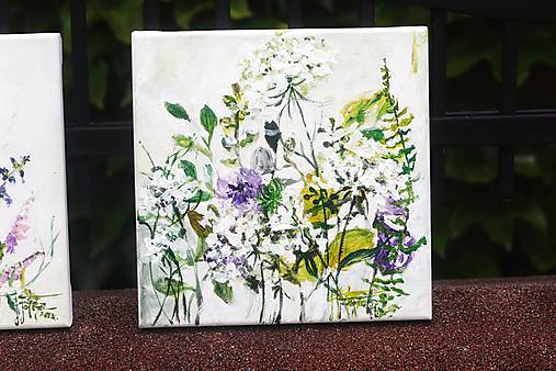 Obrazy - Botanical II.  - 15875504_