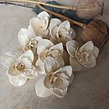 Polotovary - Kvety orchidei v jemnej marhuľovej farbe - 15877220_