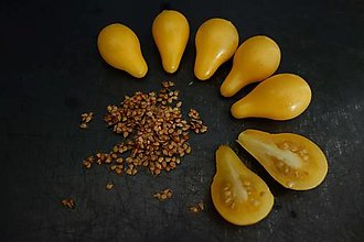 Bylinky - domáce semienka rajčín žlté hruštičky- 2023 - 15888681_