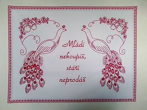 Úžitkový textil - Kuchynská plátená nástenka ručne vyšívaná "Mládí nekoupíš, stáří neprodáš." (červená) - 15896054_