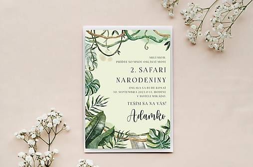Papiernictvo - Pozvánka na narodeninovú oslavu safari - 15897559_