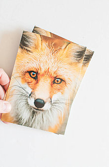 Papier - Pohľadnica "Foxie" - 15901744_