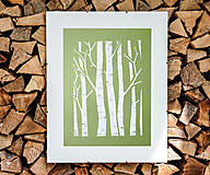 Grafika - Biele brezy -  linoryt - 15914477_