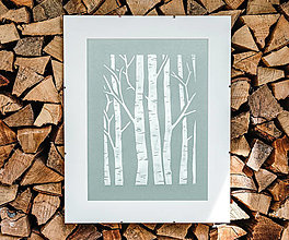 Grafika - Biele brezy -  linoryt (Modré pozadie) - 15914462_