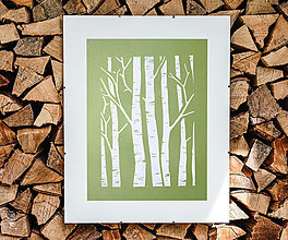 Grafika - Biele brezy -  linoryt (Zelené pozadie) - 15914470_