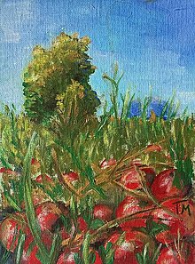 Kresby - Obrázok  Jabĺčka v tráve - 15917064_