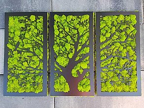 Dekorácie - Machovy strom - 15931480_