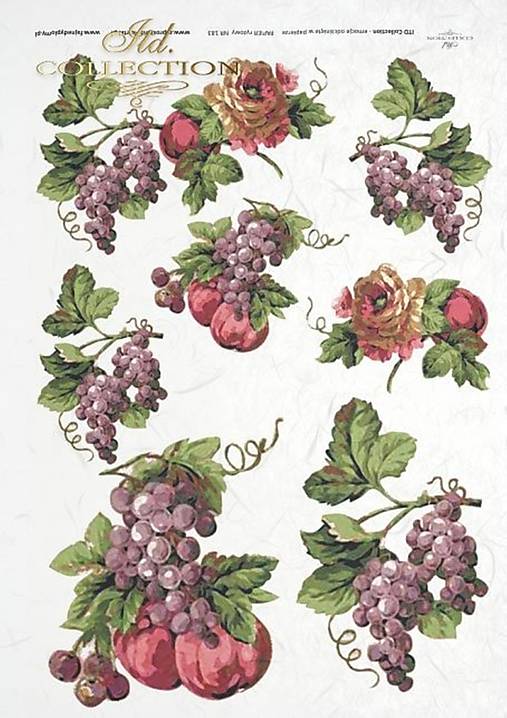 Papier - Ryžový papier R 183 - 15935683_