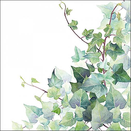 Papier - Servítka P 245 - 15936023_
