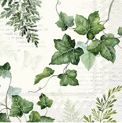 Papier - Servítka P 246 - 15936044_