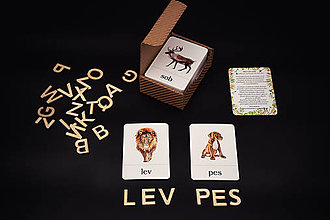 Hračky - Kartičky Prvé čítanie (Malé tlačené písmená (obojstranné SK aj AJ)) - 15945240_