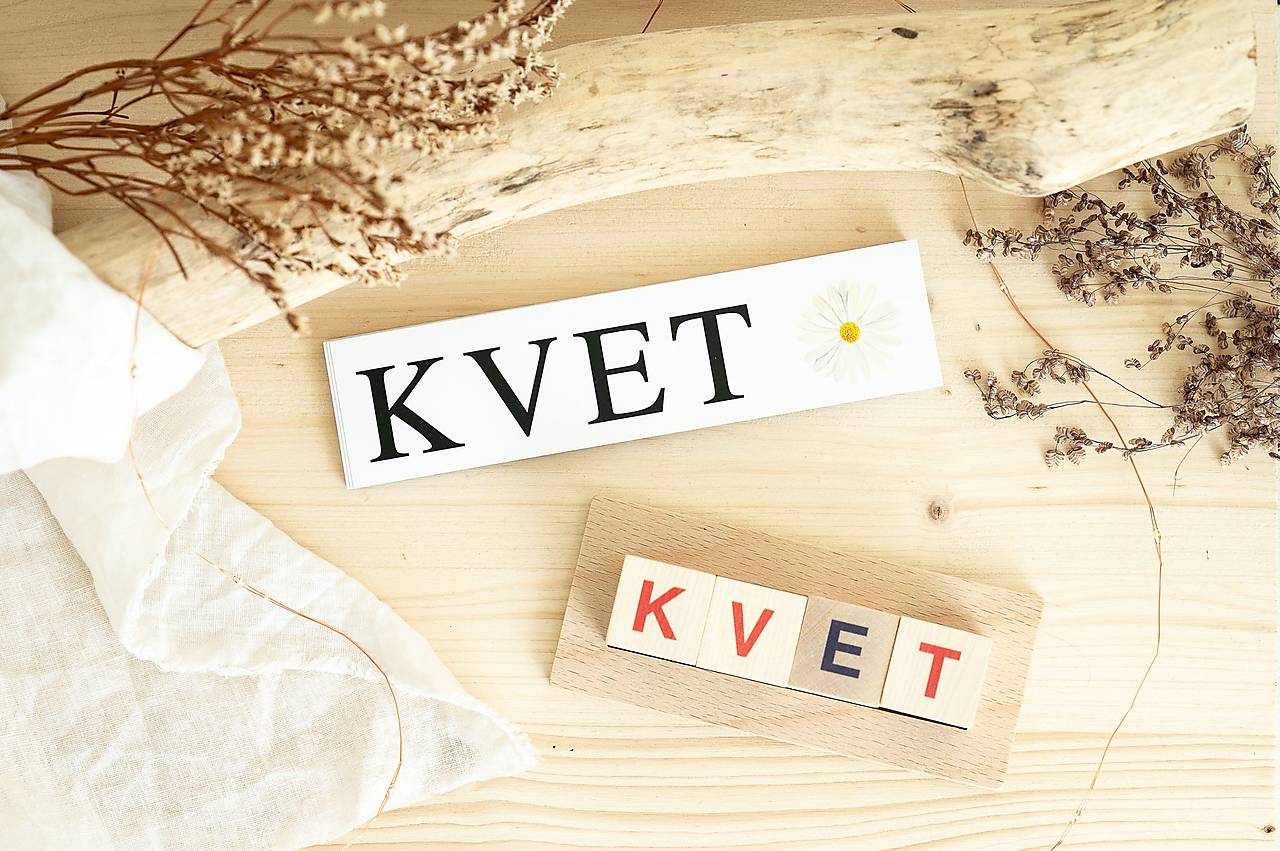 TAJNÉ ČÍTANIE KOCKY