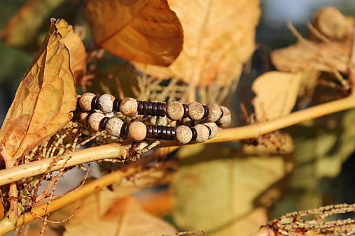 Žltá jeseň _partnerské