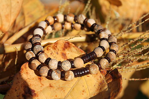 Žltá jeseň _partnerské