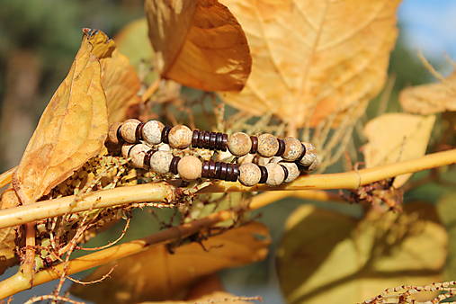 Žltá jeseň _partnerské
