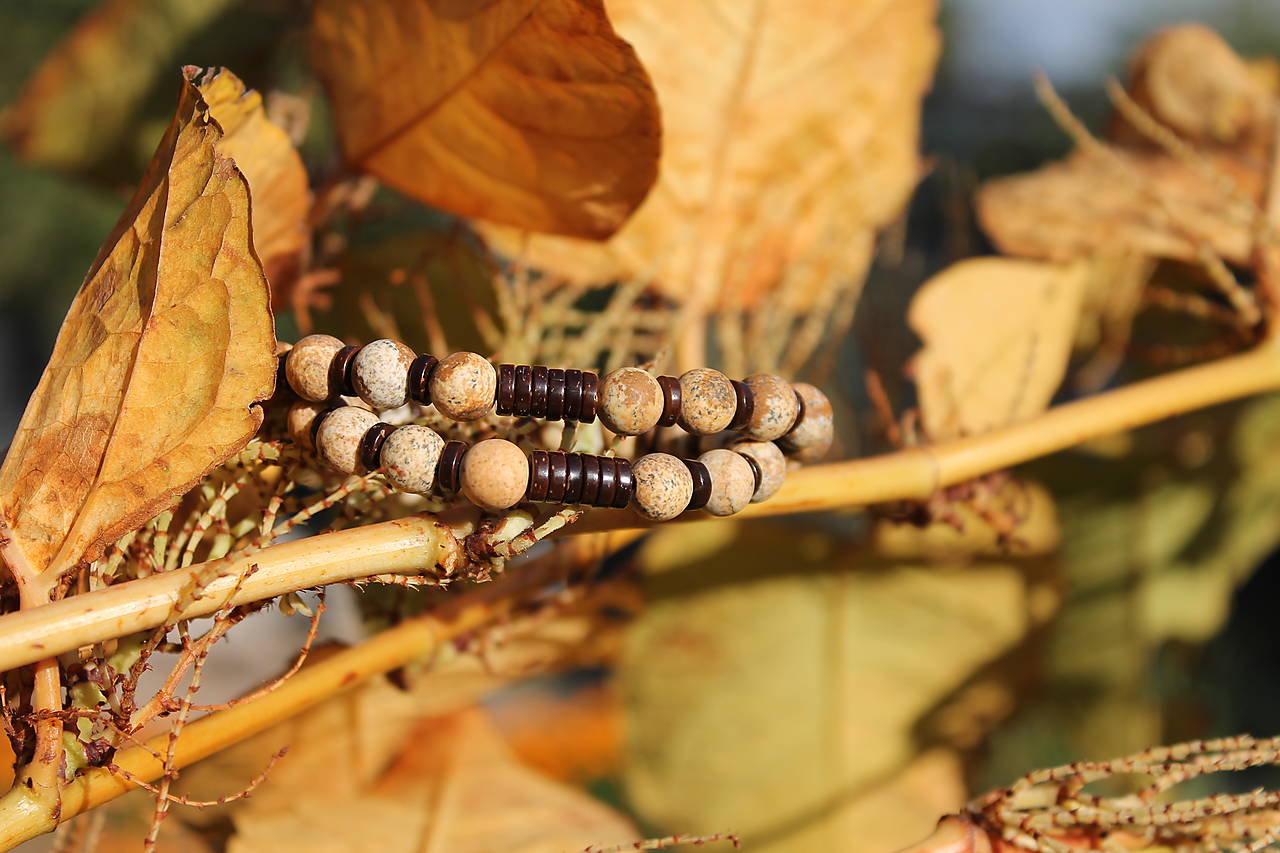 Žltá jeseň _partnerské