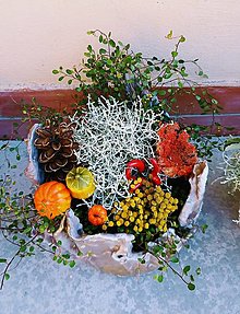 Dekorácie - Jesenná dekorácia v betónovej nádobe - 15959557_
