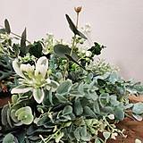 Dekorácie - Veniec dekoračný, eucalyptus, greenery, zelený mix - 15958571_