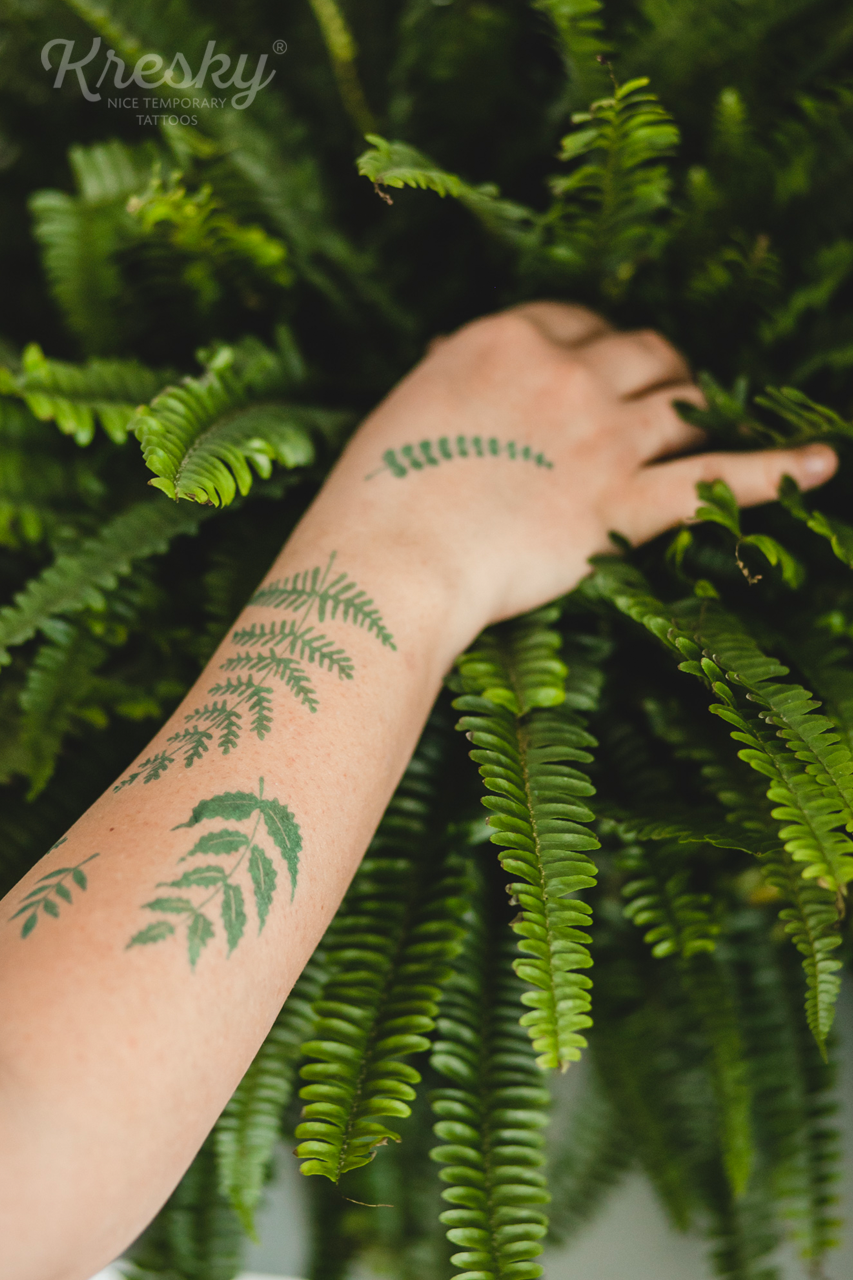 Dočasné tetovačky - Papraďové