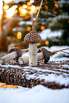 Dekorácie - Vianočné hríbiky zo žaluďov - 15957331_