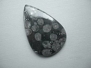Minerály - Kabošon - černý korál 39 mm, č.2f - 15967985_