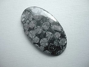 Minerály - Kabošon - černý korál 41 mm, č.3f, SLEVA! - 15967997_