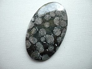 Minerály - Kabošon - černý korál 42 mm, č.4f - 15968002_