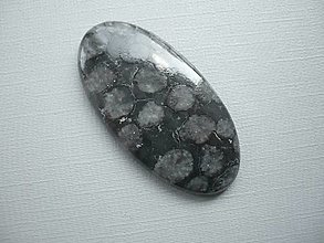 Minerály - Kabošon - černý korál 43 mm, č.6f - 15968009_