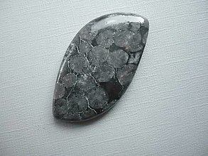 Minerály - Kabošon - černý korál 40 mm, č.7f - 15968011_