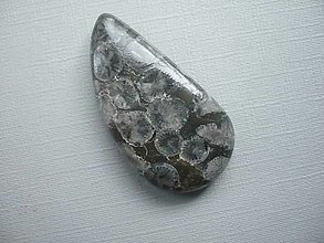 Minerály - Kabošon - černý korál 37 mm, č.8f - 15968014_