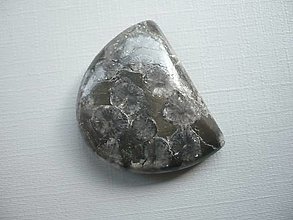 Minerály - Kabošon - černý korál 31 mm, č.10f - 15968017_