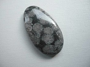 Minerály - Kabošon - černý korál 37 mm, č.13f - 15968024_