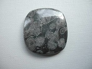Minerály - Kabošon - černý korál 30 mm, č.14f - 15968026_